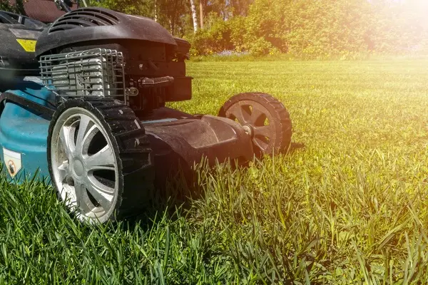 Can You Mow Wet Grass in League City, TX