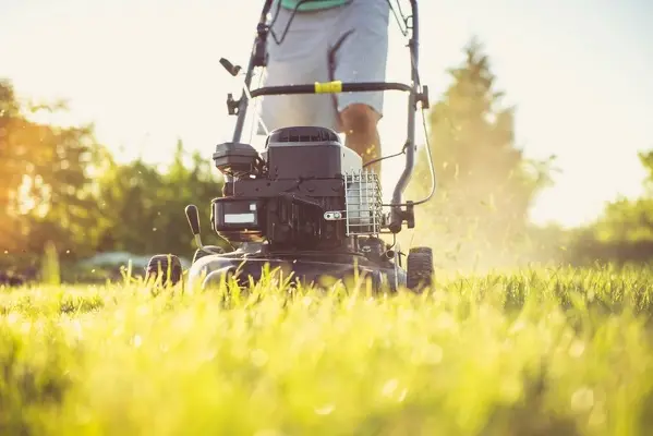 Can You Mow Wet Grass in League City, TX