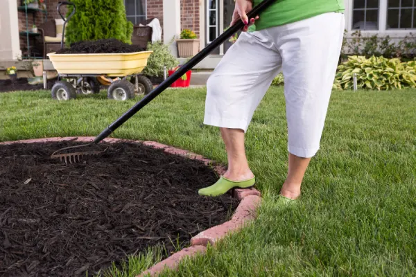 How Long Does Mulch Last in League City, TX