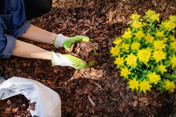 How Long Does Mulch Last in League City, TX