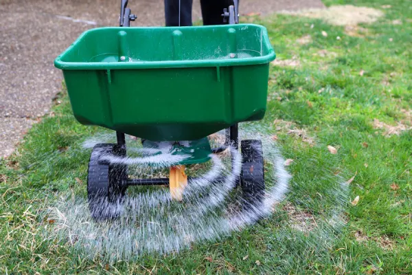 How often should you fertilize your lawn in League City, TX