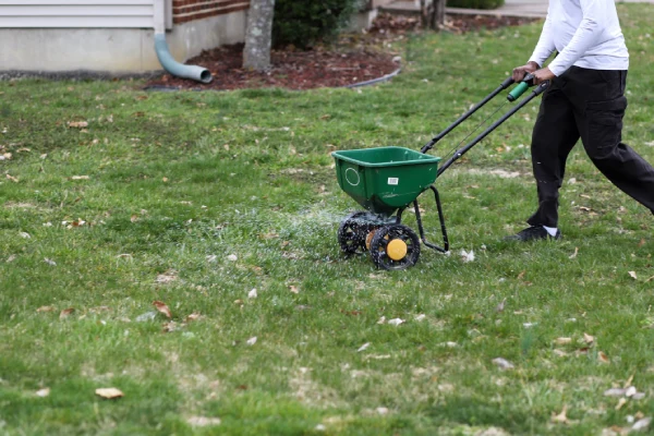 How often should you fertilize your lawn in League City, TX