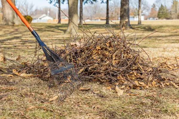 How to Clean a Backyard in League City, TX