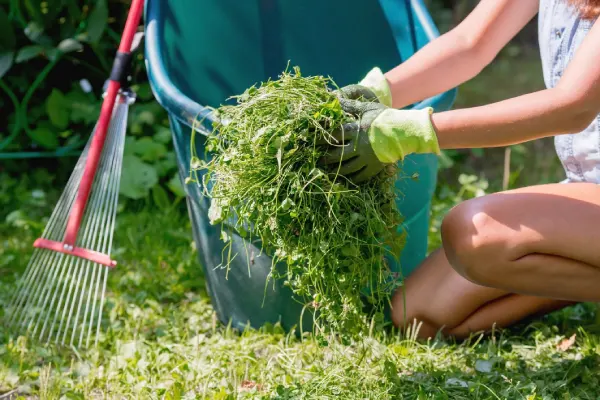 How to Clear a Yard Full of Weeds in League City, TX