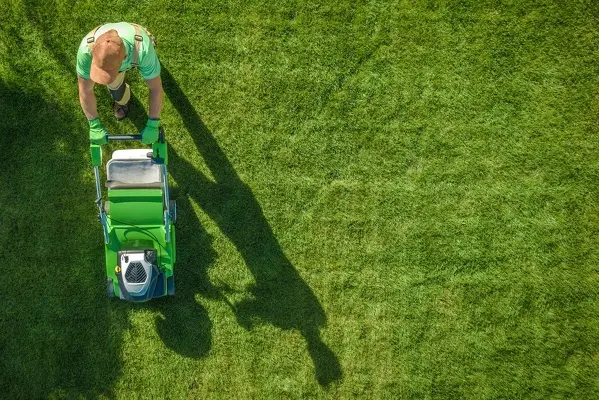 How to Mow a Lawn in League City, TX