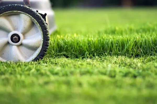 How to Mow a Lawn in League City, TX