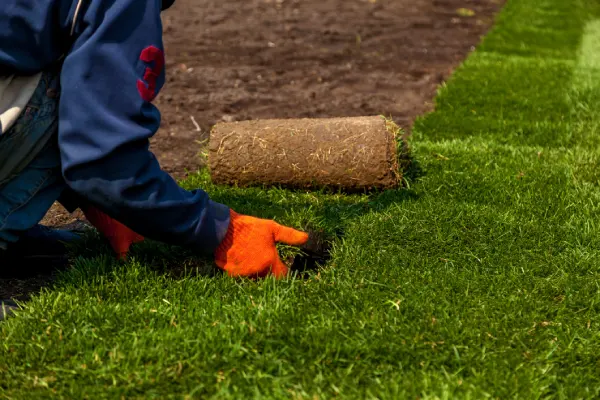 Quality Sod Installation in League City, TX